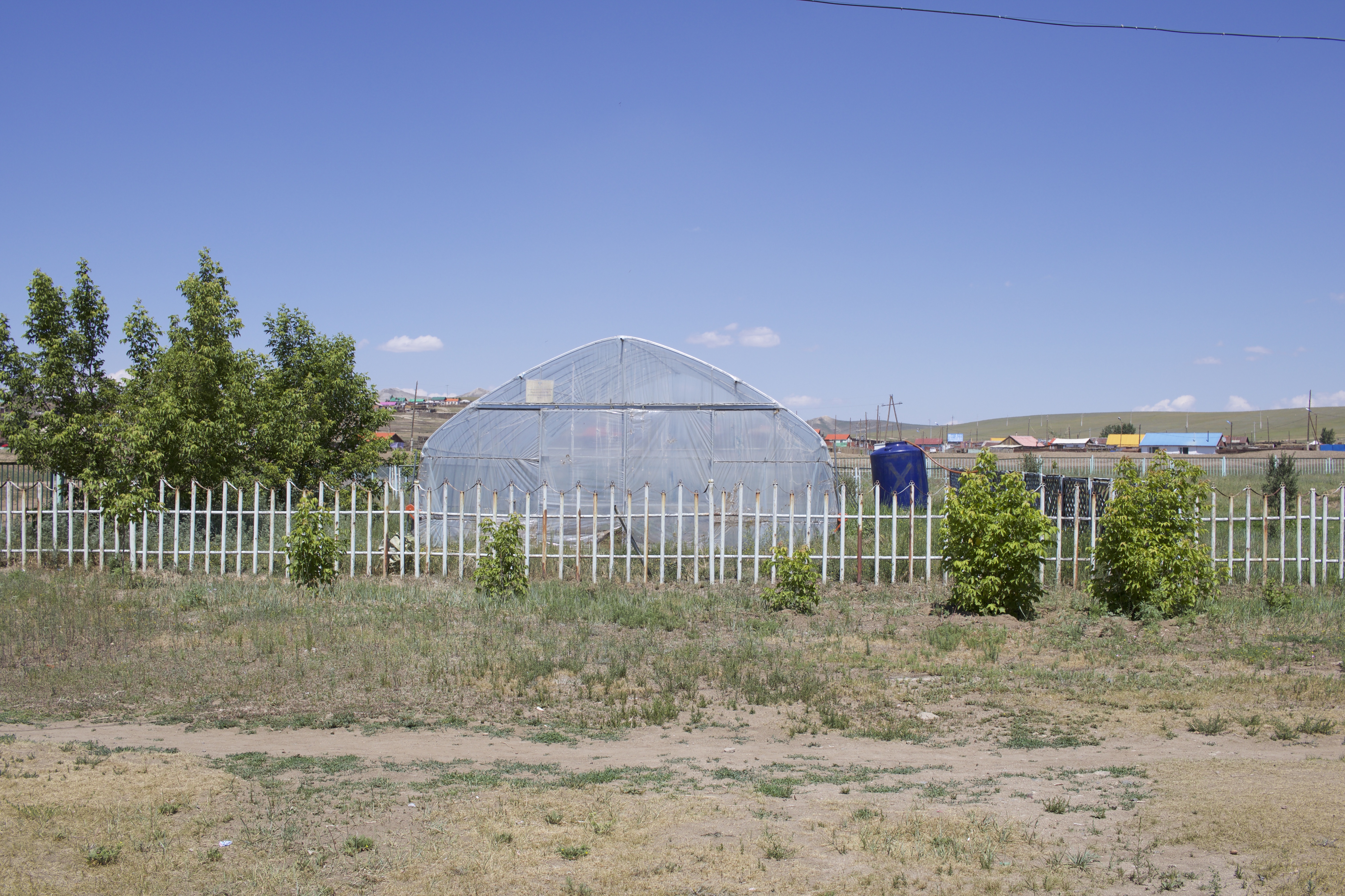 The Greenhouse in All its Glory