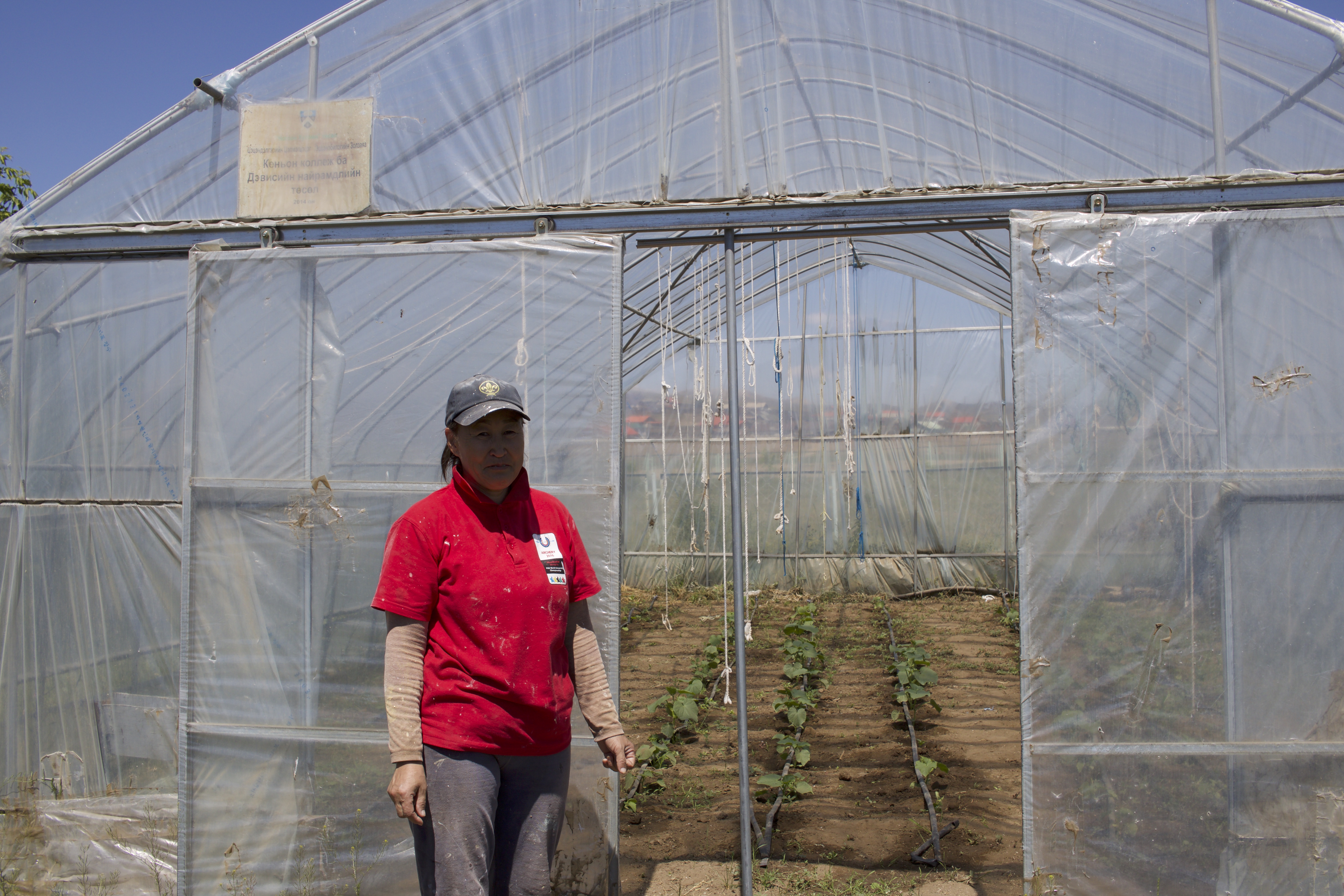 The Greenhouse Caretaker
